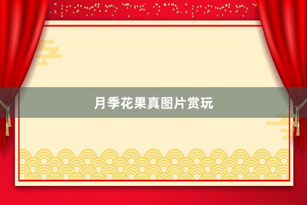 月季花果真图片赏玩