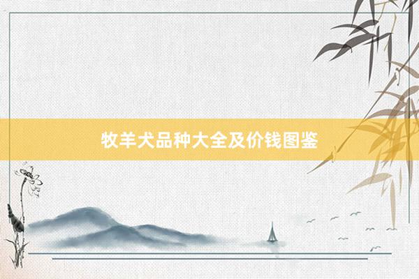牧羊犬品种大全及价钱图鉴