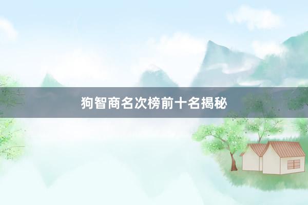 狗智商名次榜前十名揭秘