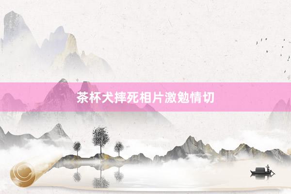 茶杯犬摔死相片激勉情切